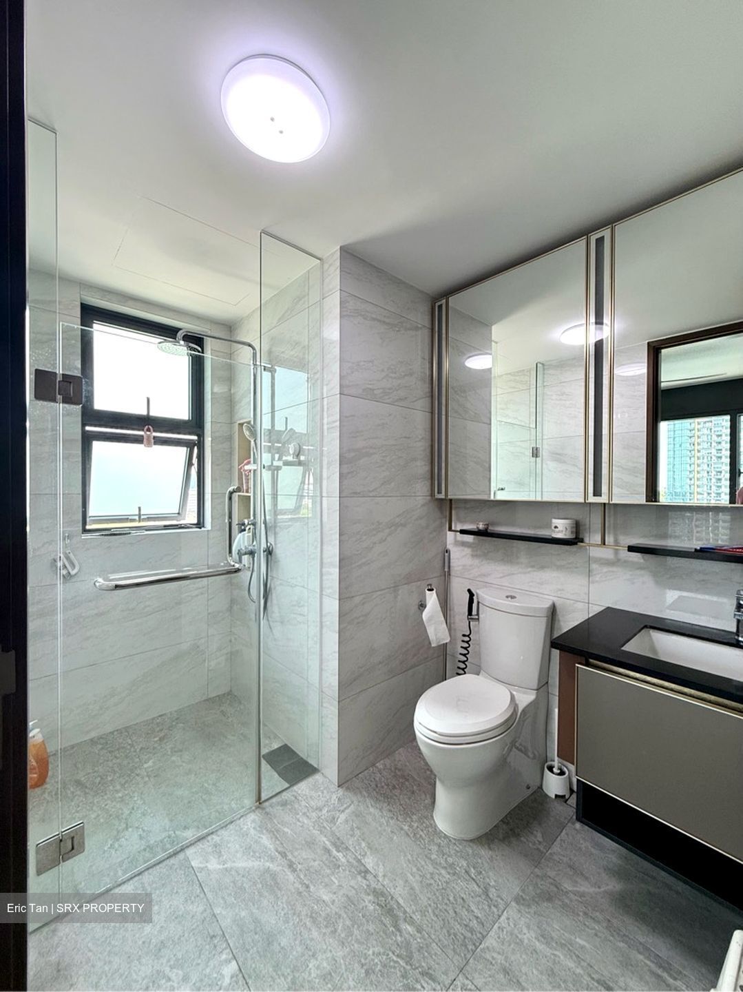 Normanton Park (D5), Apartment #539453151